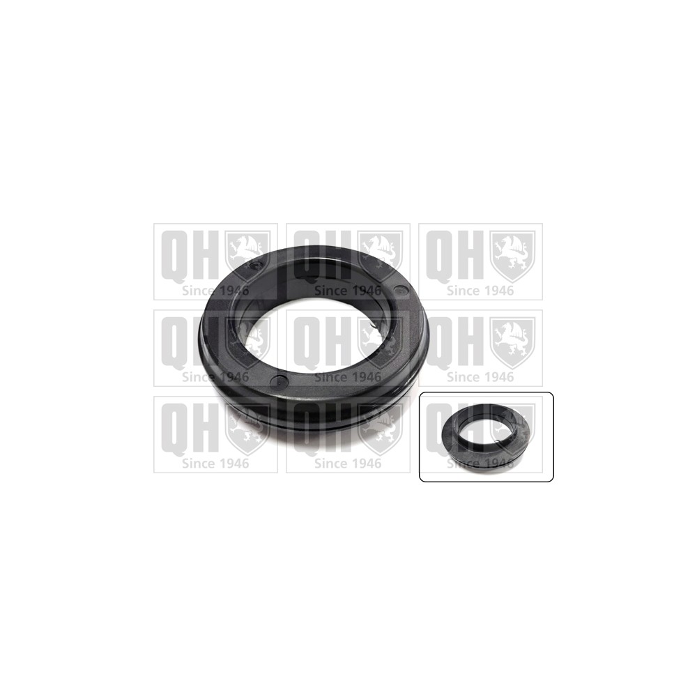 Image for QH QAM162 Top Strut Bearing