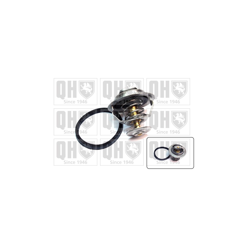 Image for QH QTH372K Thermostat Kit