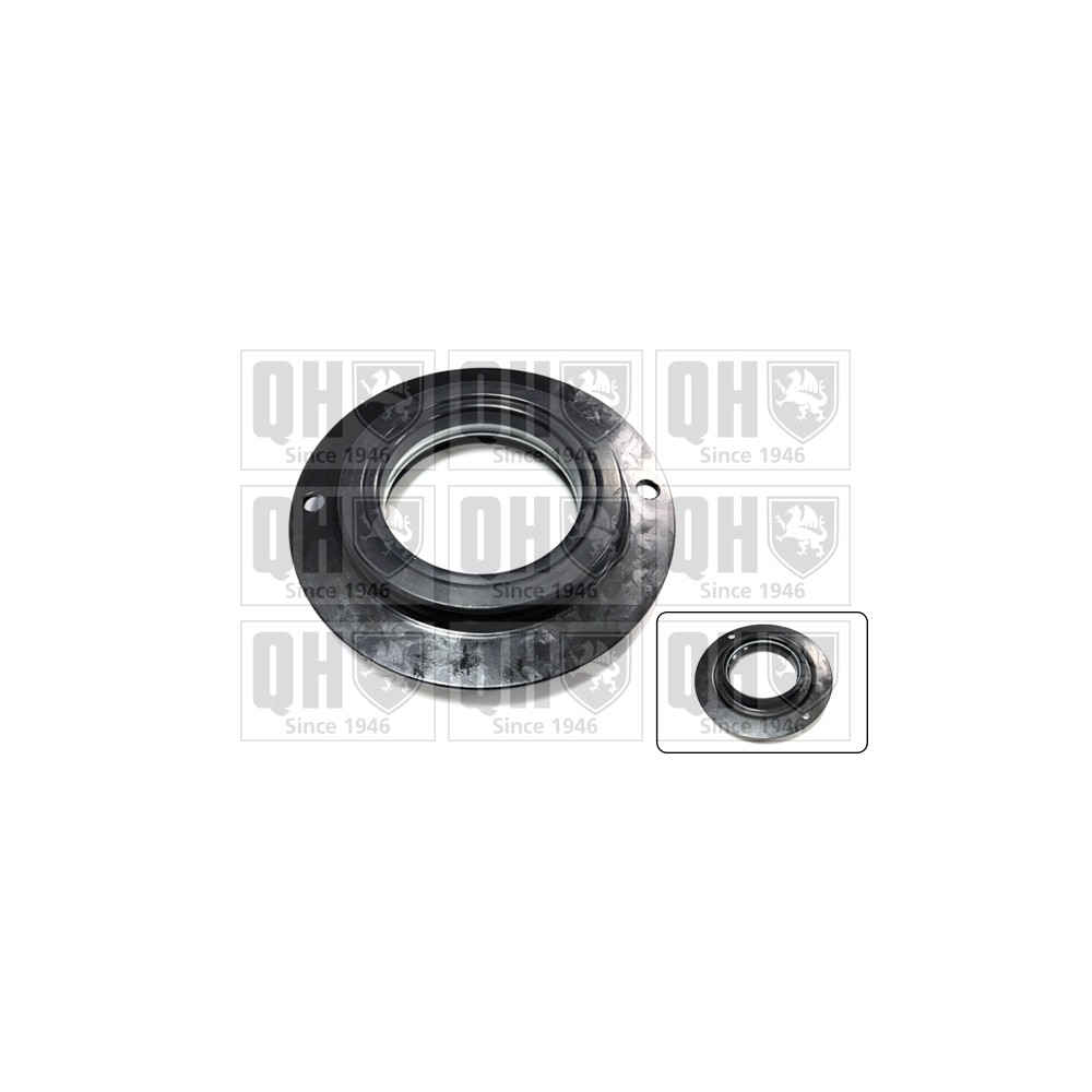 Image for QH QAM182 Top Strut Bearing