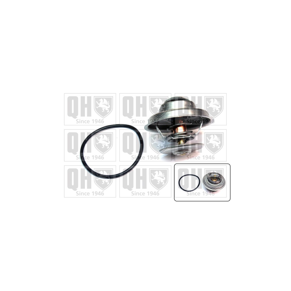 Image for QH QTH138K Thermostat Kit