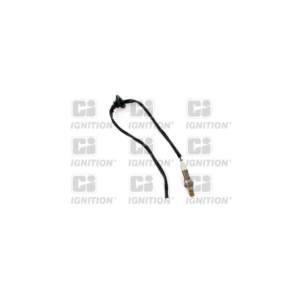 Image for Oxygen Sensor