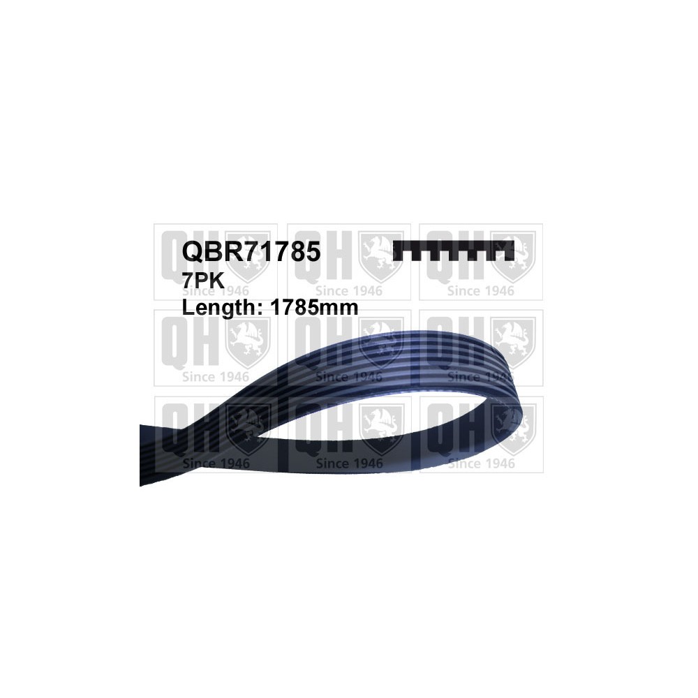 Image for QH QBR71785 MULTI-RIBBED BELT