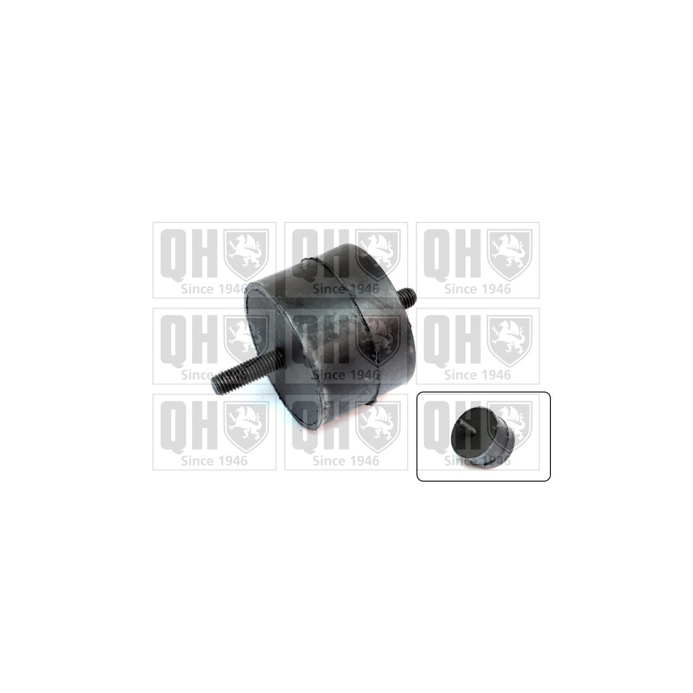 Image for QH EM1575 Engine Mounting