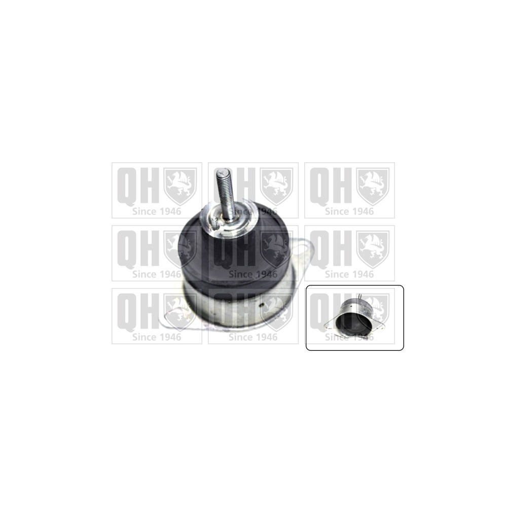 Image for QH EM4221 Engine Mounting