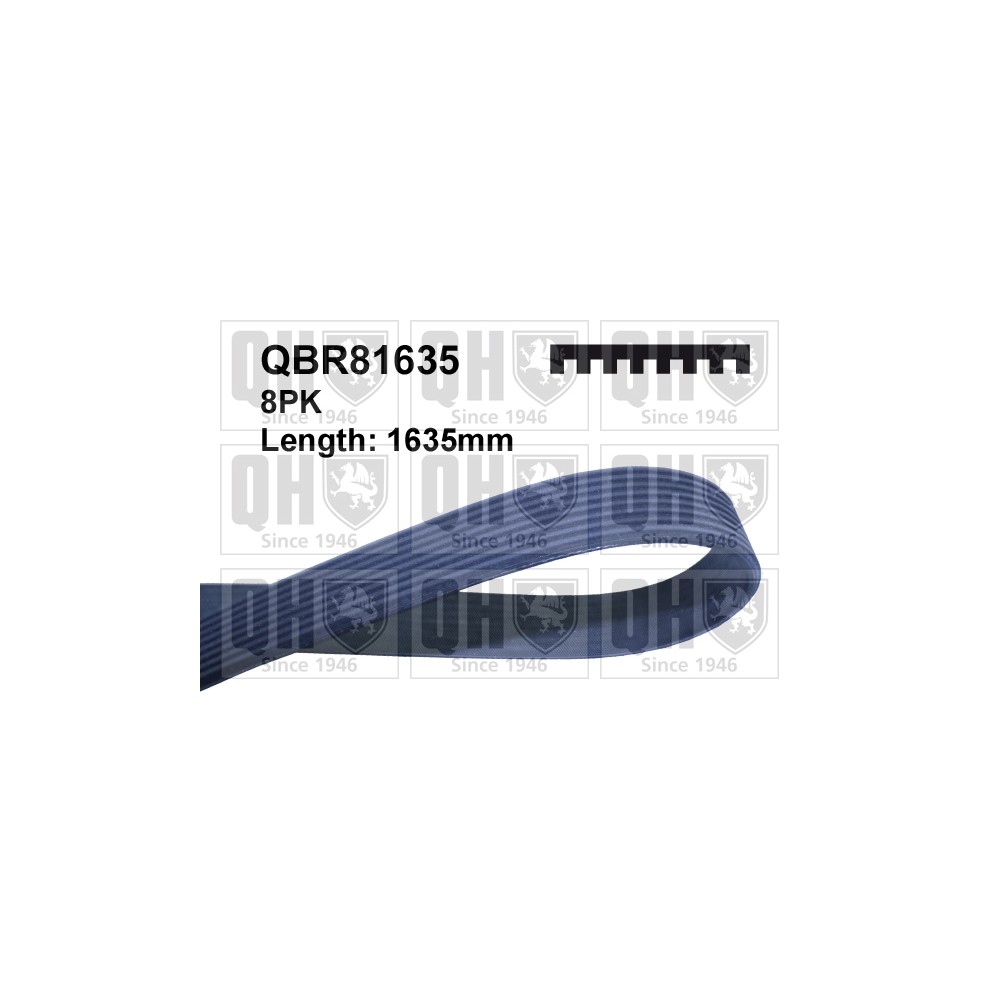 Image for QH QBR81635 Multi-ribbed belt
