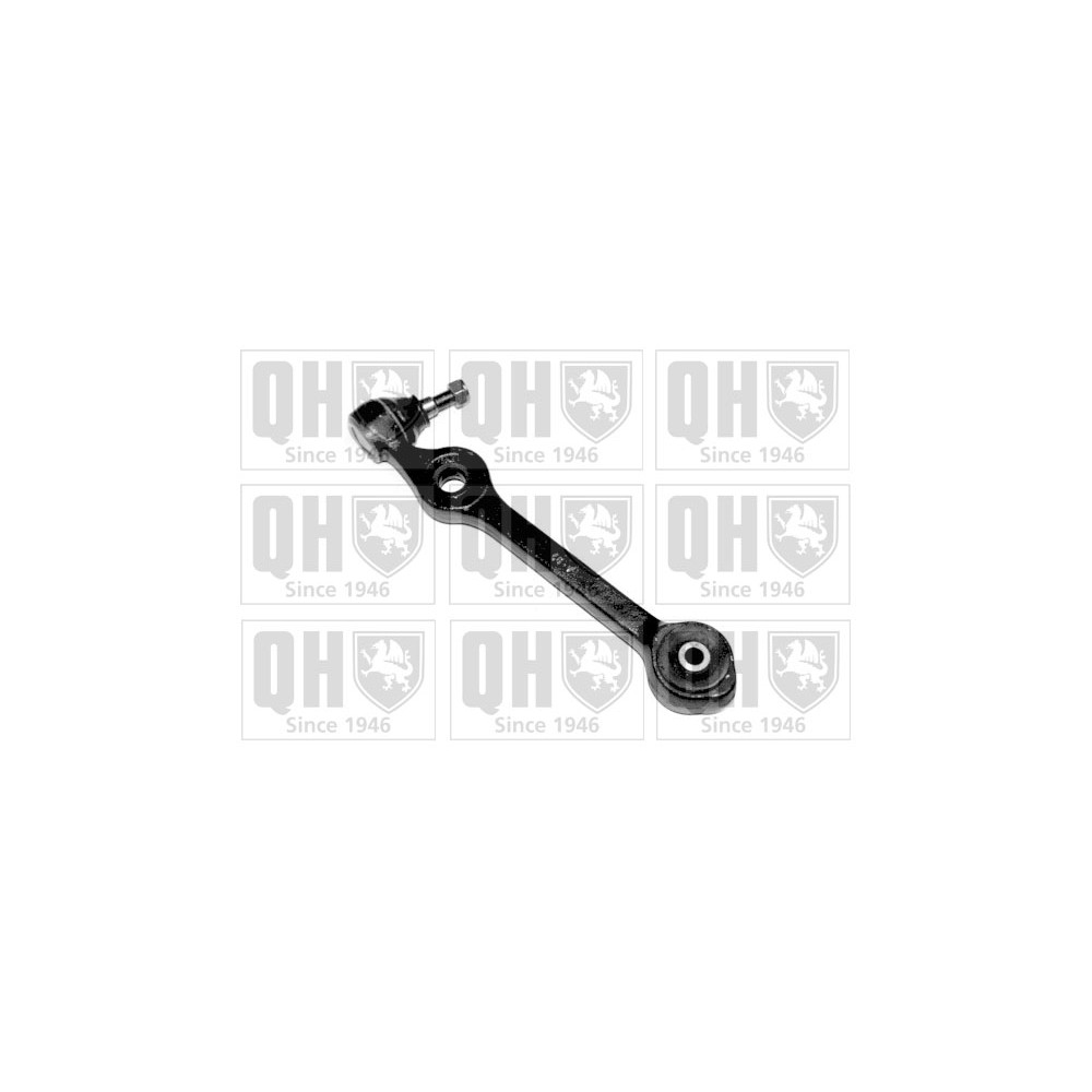 Image for QH QSJ851S Suspension Arm - Front Lower LH & RH