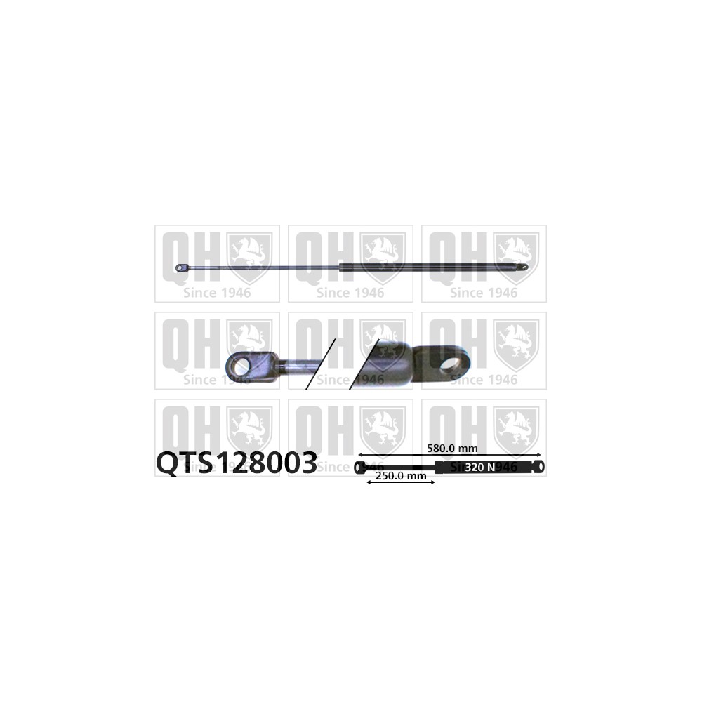 Image for QH QTS128003 Gas Spring