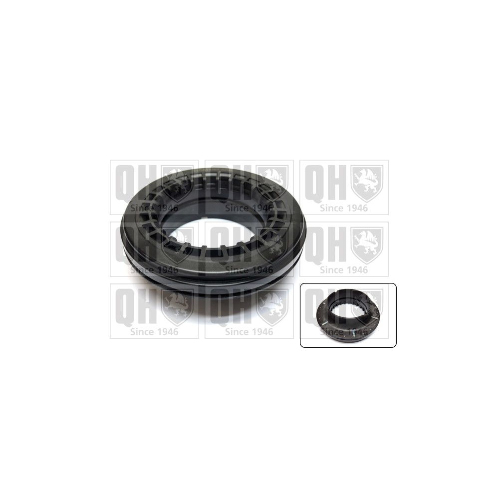 Image for QH QAM190 Top Strut Bearing