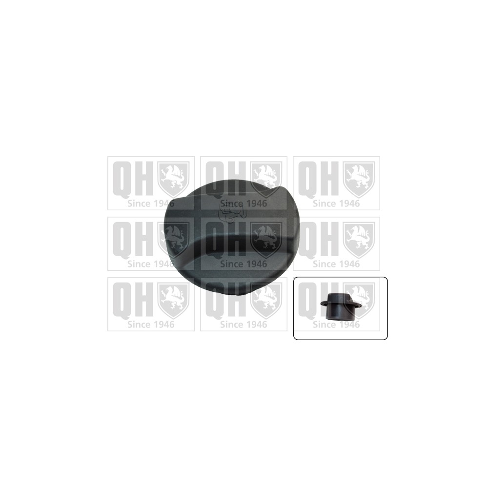 Image for QH FC539 Expansion Tank Cap