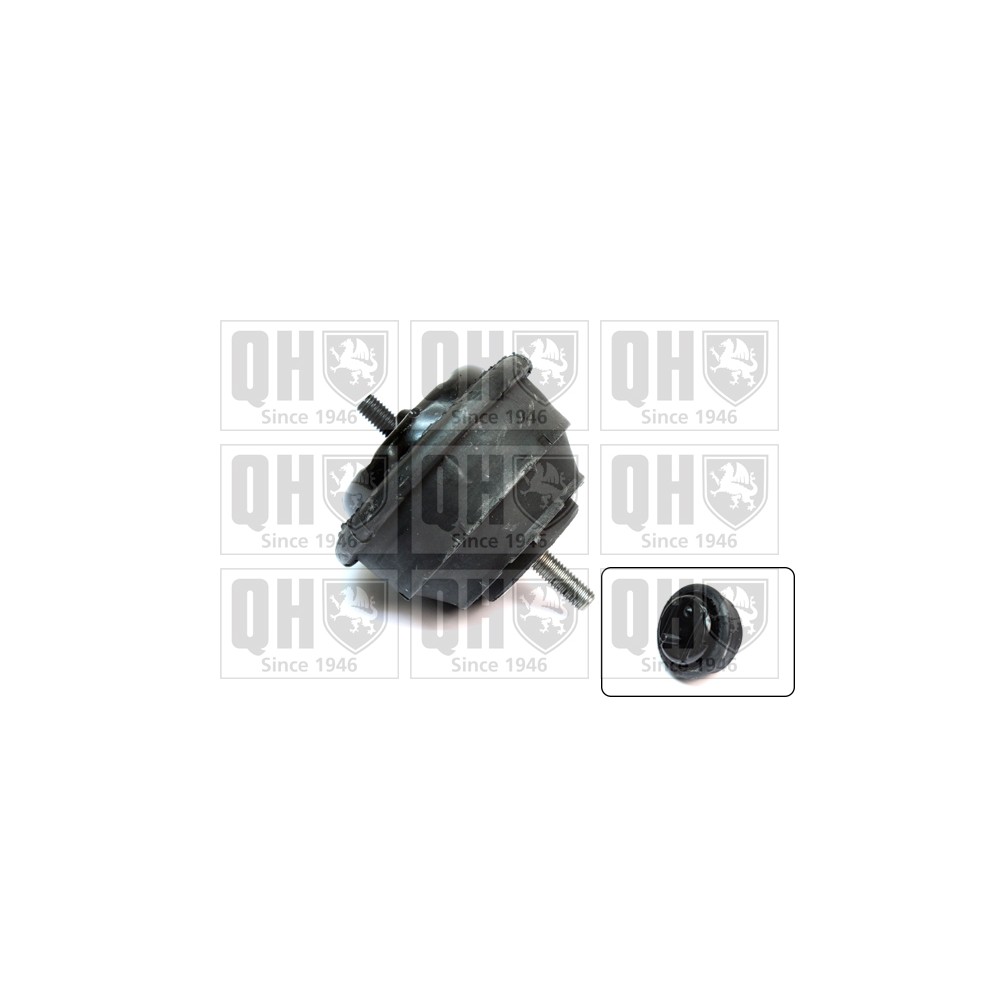 Image for QH EM4078 Engine Mounting