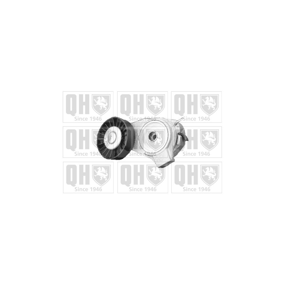 Image for QH QTA1119 Drive Belt Tensioner