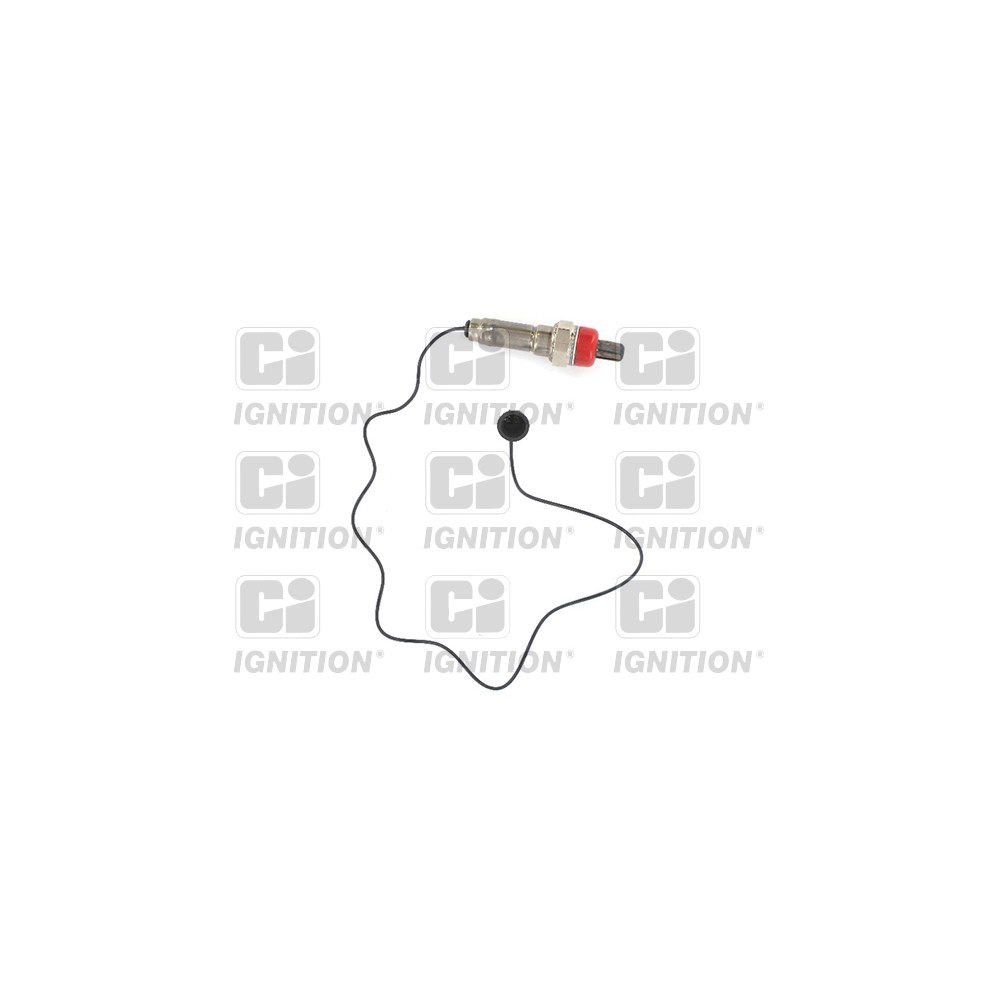 Image for Oxygen Sensor