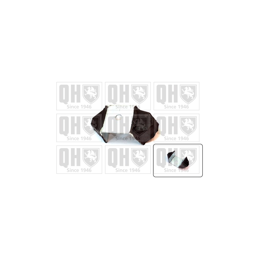 Image for QH EM2004 Engine Mounting
