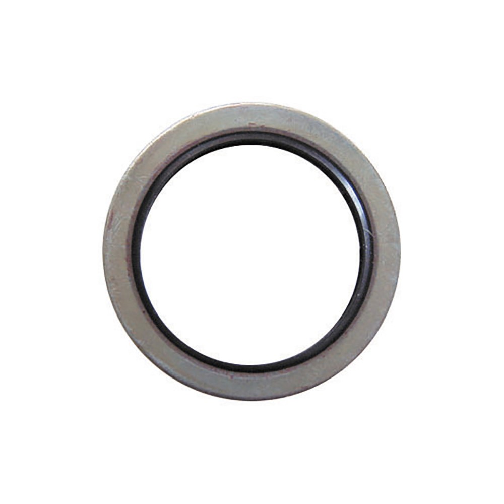 Image for Pearl Sump Washers Psa