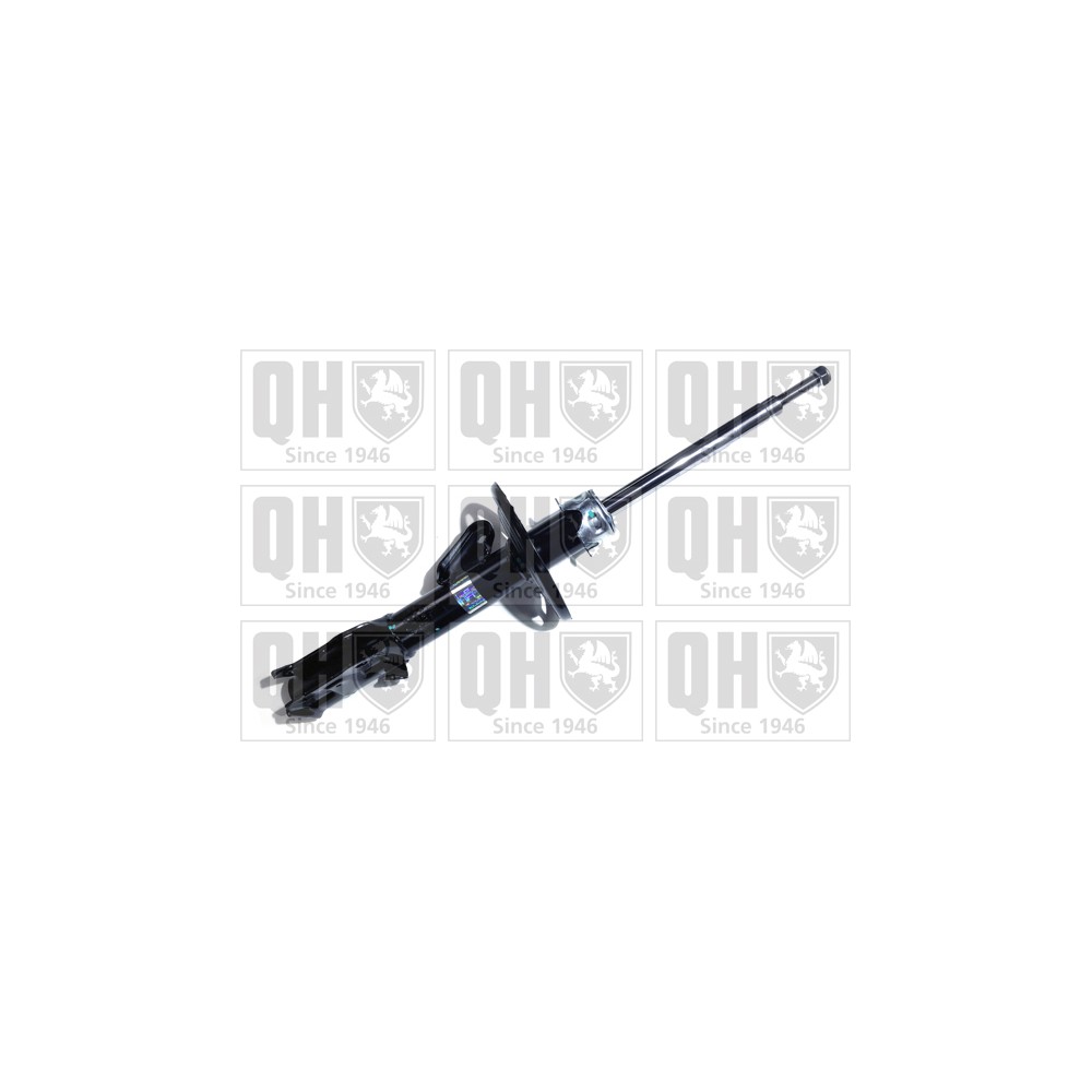 Image for QH QAG181011 Shock Absorber