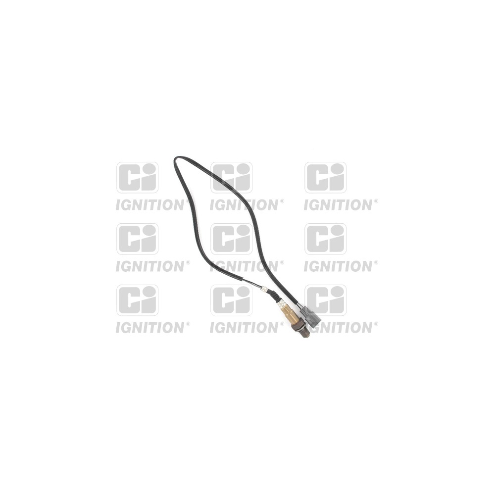 Image for Oxygen Sensor