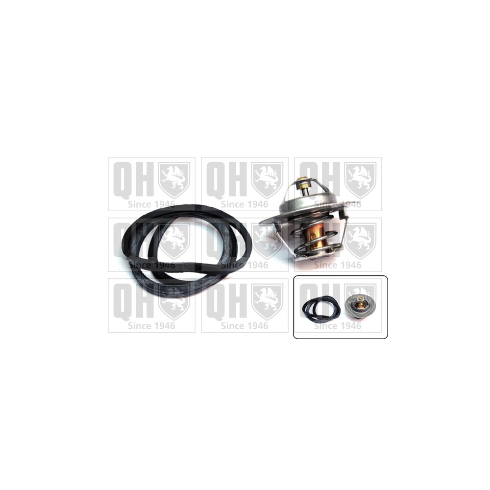 Image for QH QTH332K Thermostat Kit