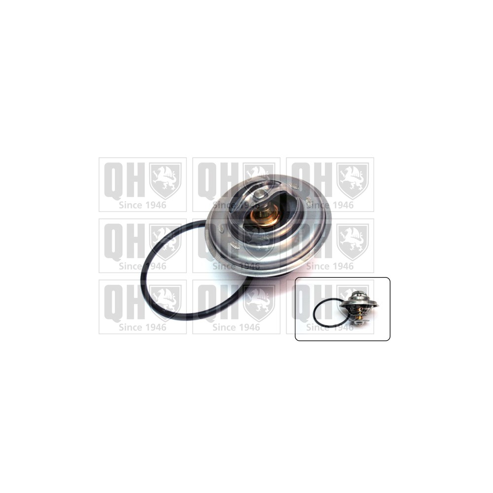 Image for QH QTH206K Thermostat Kit