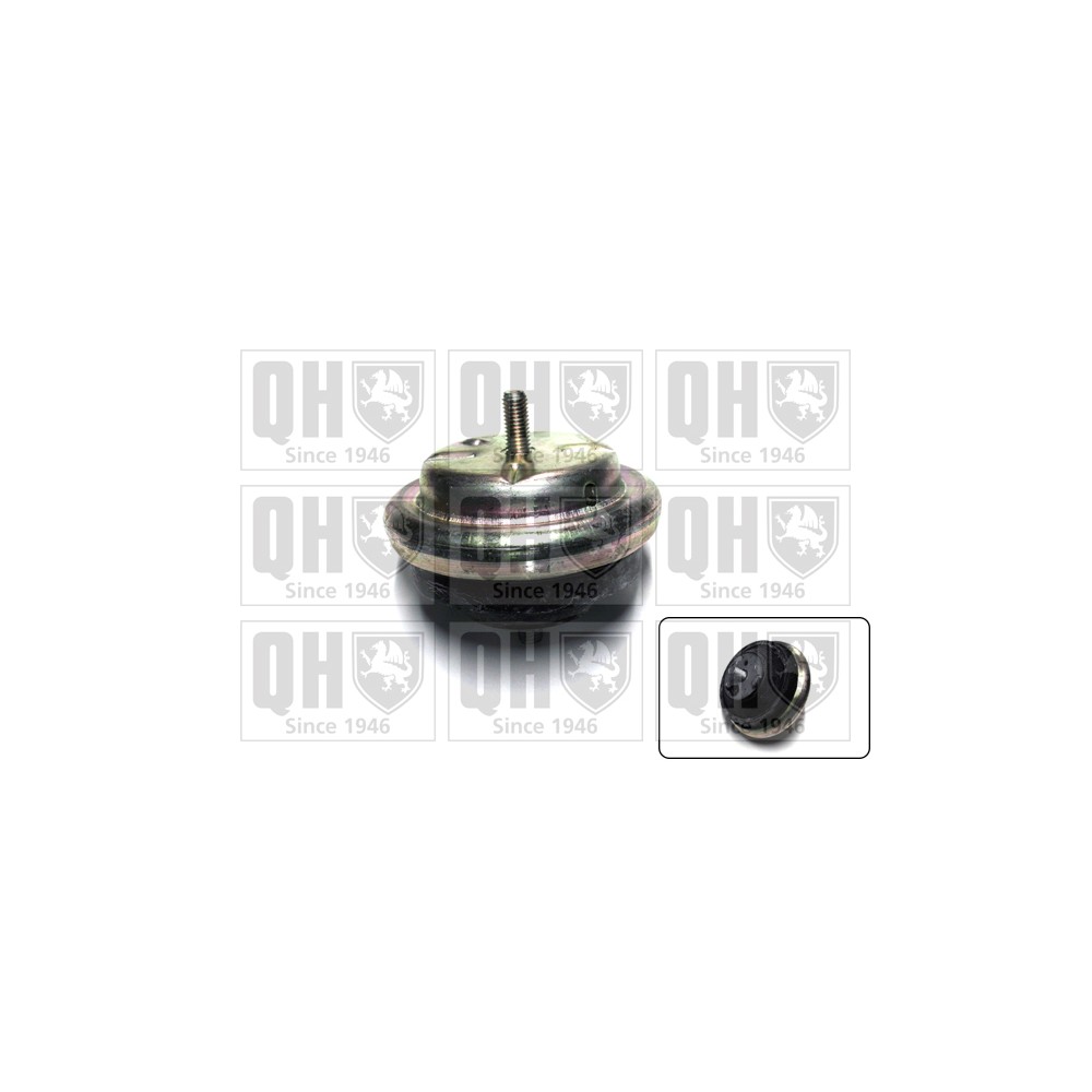 Image for QH EM4156 ENGINE MOUNTING