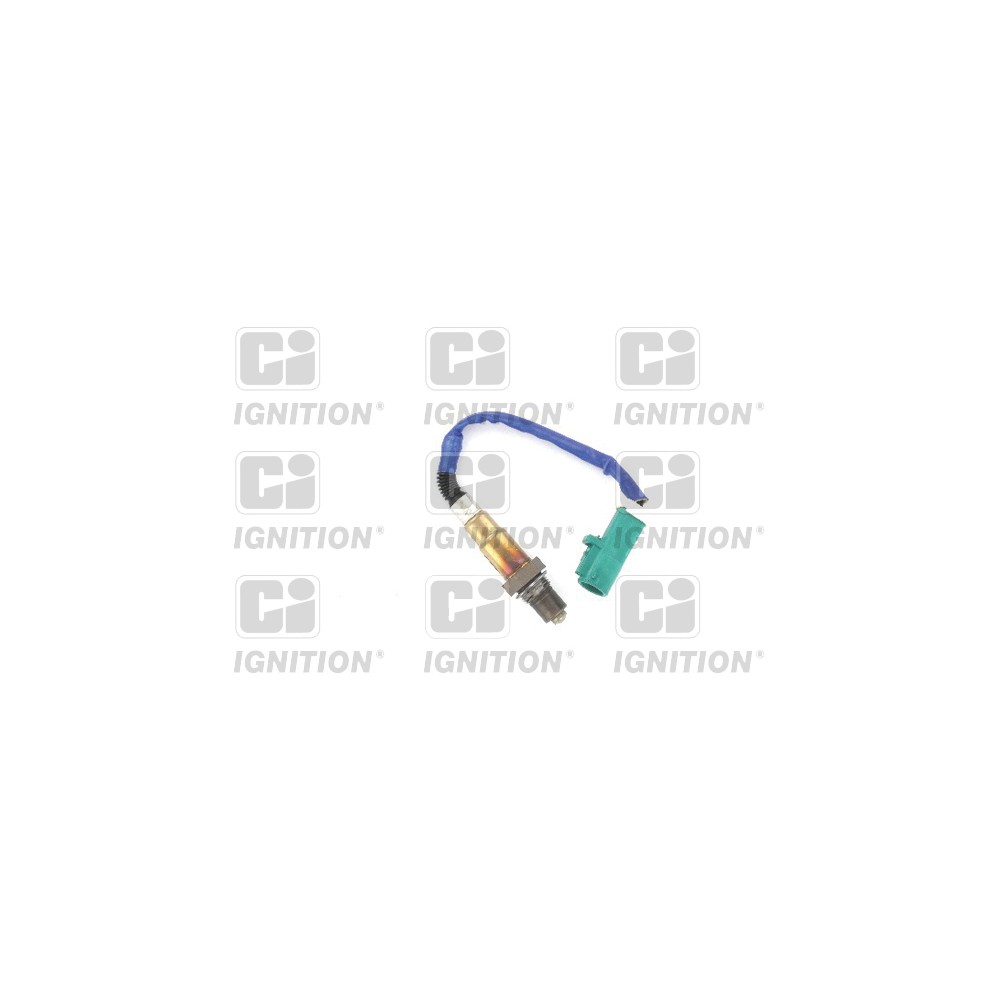 Image for Oxygen Sensor