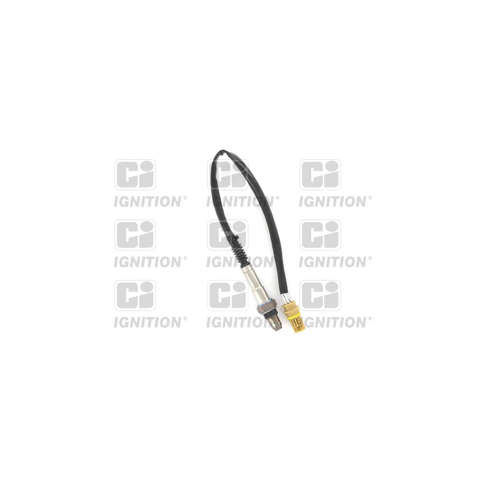 Image for Oxygen Sensor