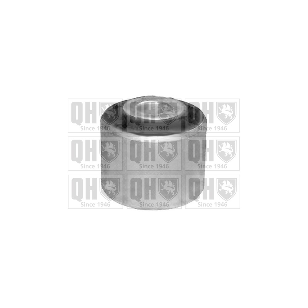 Image for QH EMS8231 Suspension Arm Bush - Front Lower LH & RH (Outer)