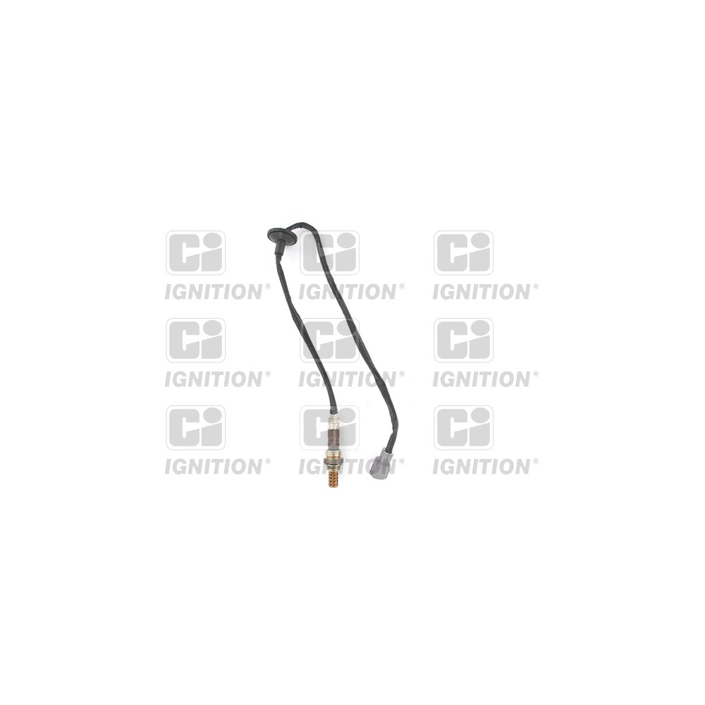 Image for Oxygen Sensor