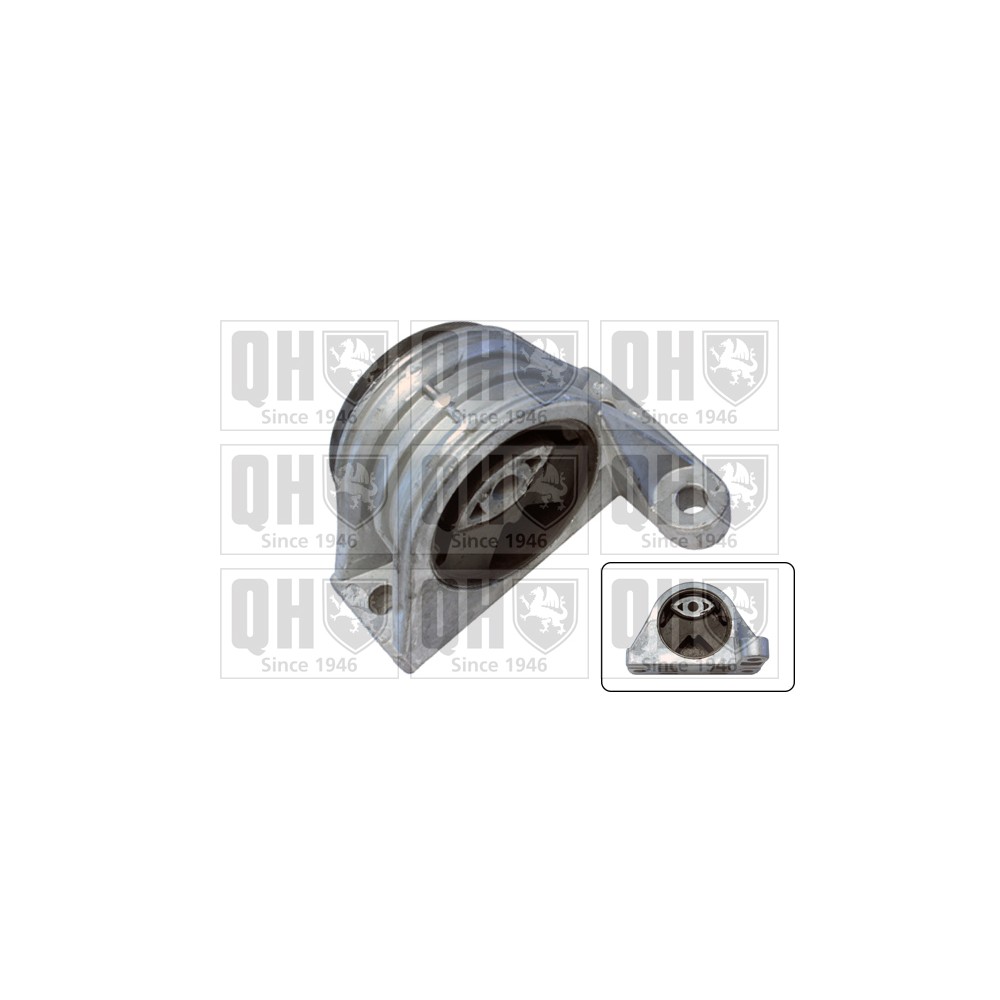 Image for QH EM4365 Engine Mounting