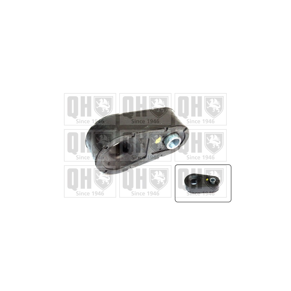 Image for QH EMB7230 Stabiliser Bar Bush - Rear LH & RH (Outer)