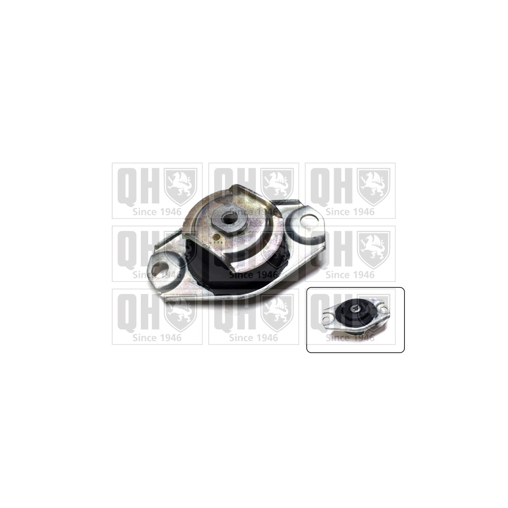 Image for QH EM3144 Engine/Gearbox Mounting - Rear