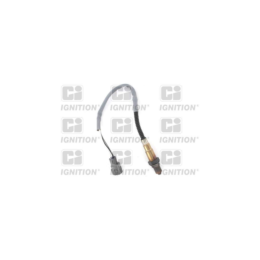 Image for CI XLOS1260 Oxygen Sensor