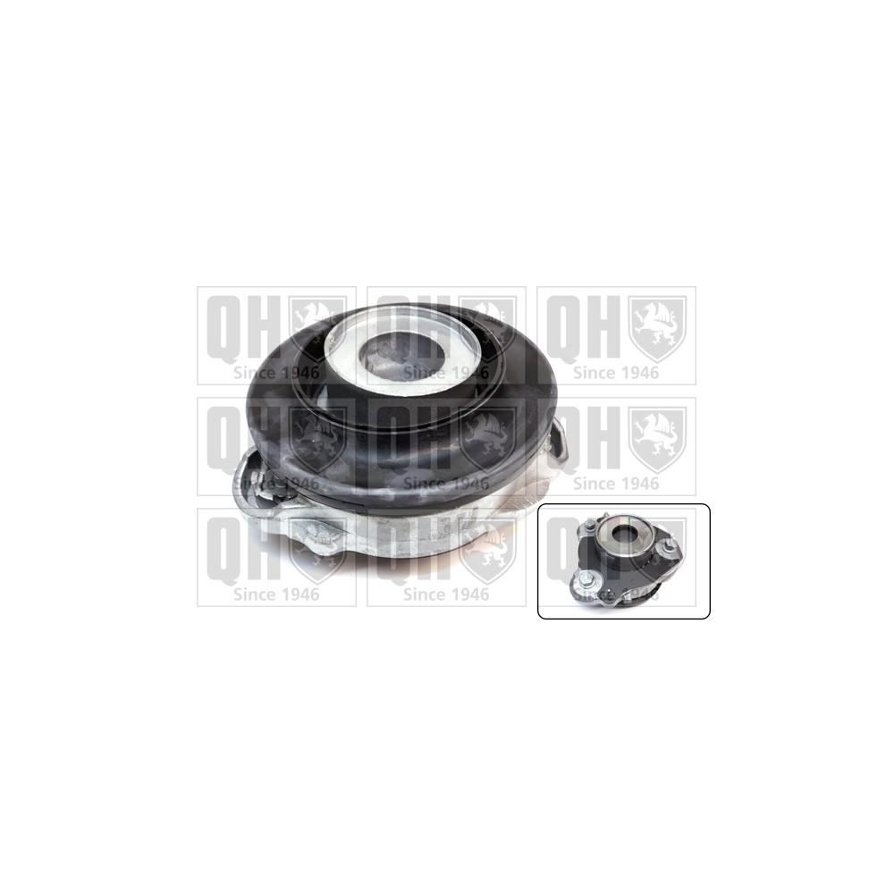 Image for QH EMA4924 Top Strut Mounting- inc Bearing