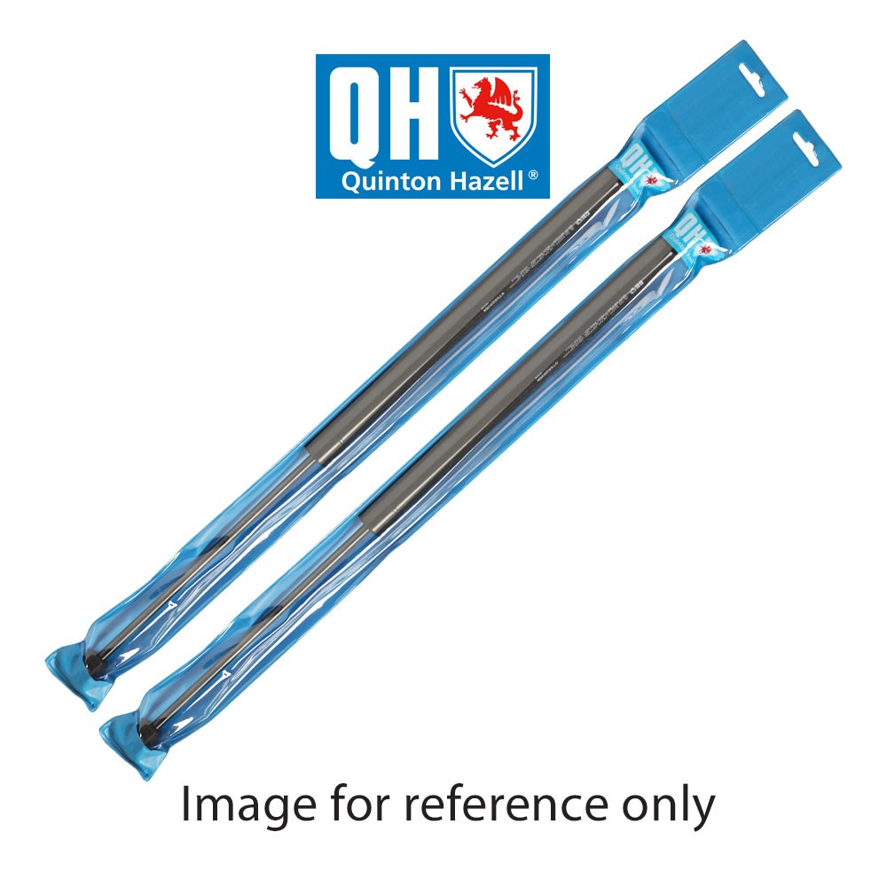 Image for Gas Spring