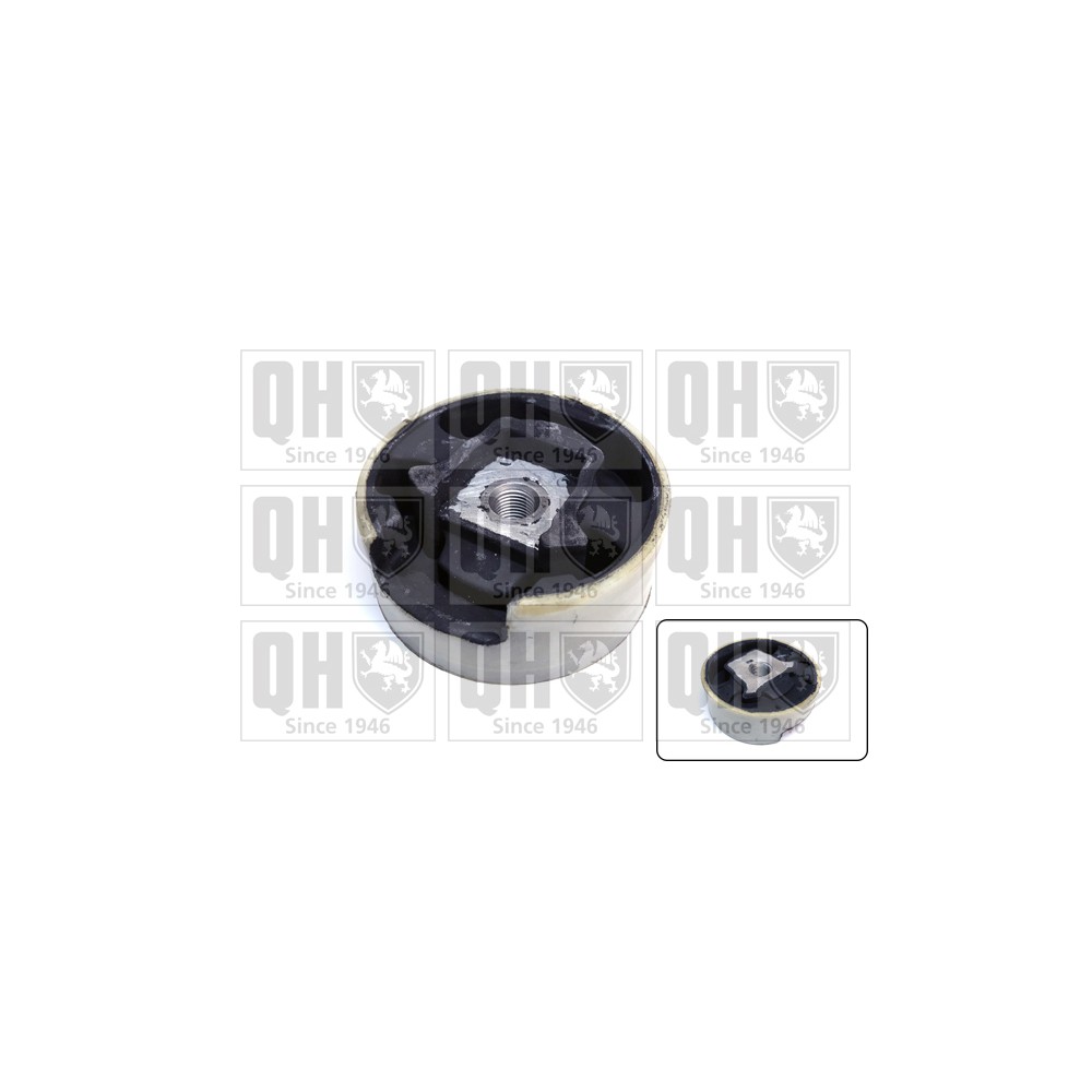 Image for QH EM4733 Engine Mounting