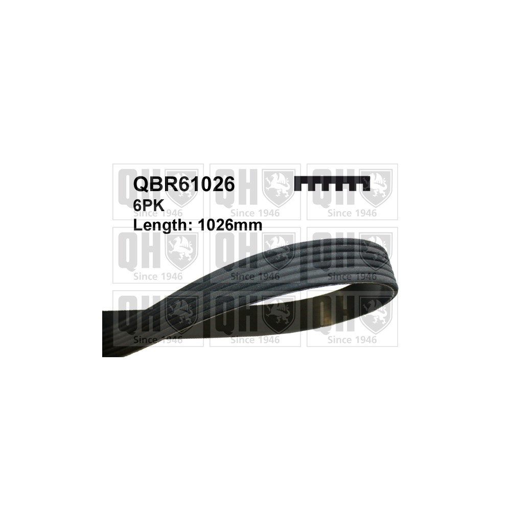 Image for QH QBR61026 Drive Belt