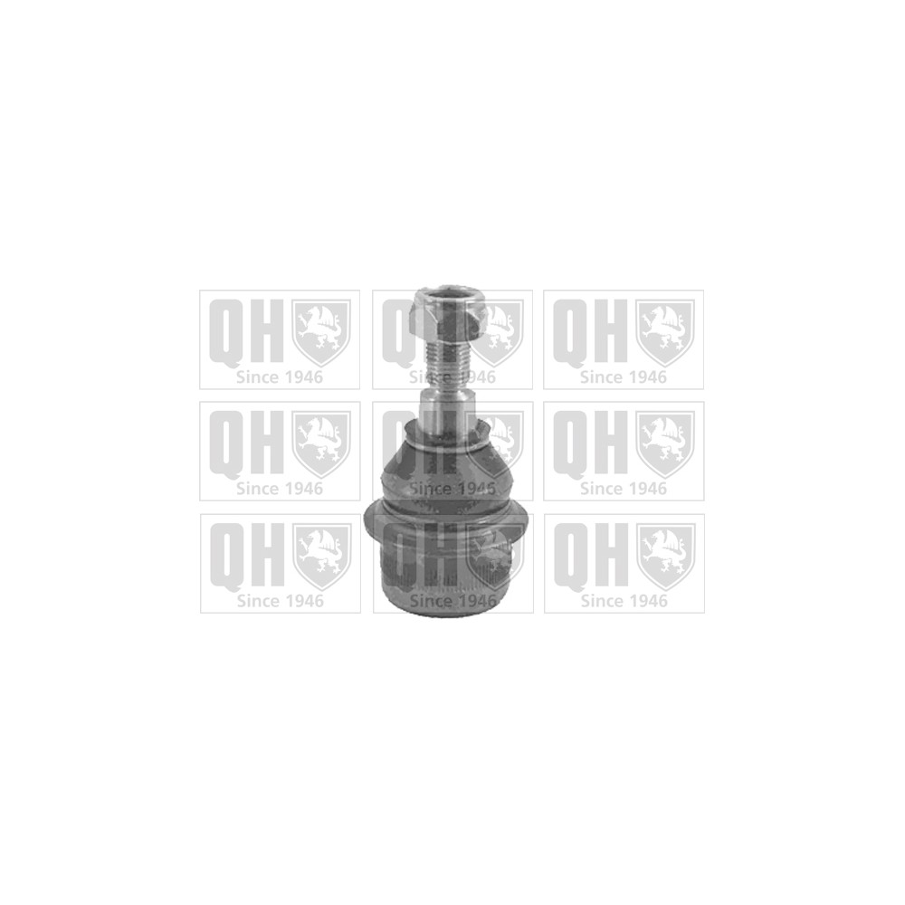 Image for QH QSJ2110S Ball Joint - Front Lower LH & RH