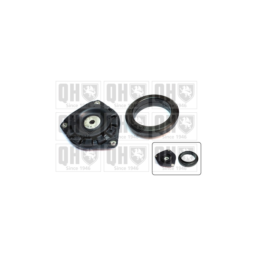 Image for QH EMA4961 Top Strut Mounting- inc Bearing