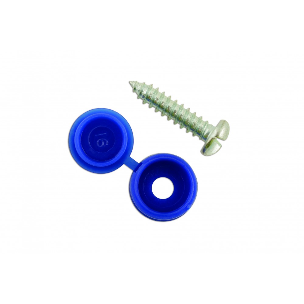 Connect 30336 Number Plate Security ScrewBlue Pack 100 Tetrosyl