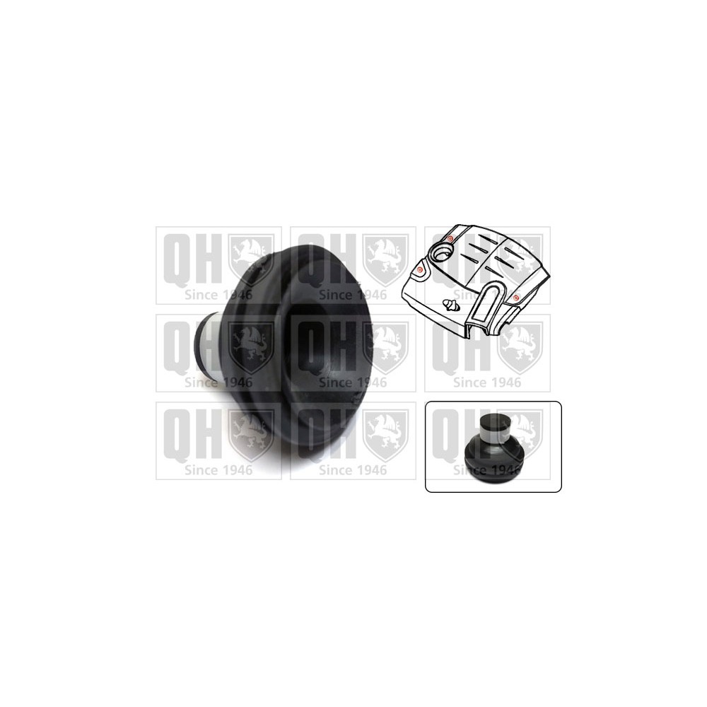 Image for QH EM4839 Engine Cover Support Clip
