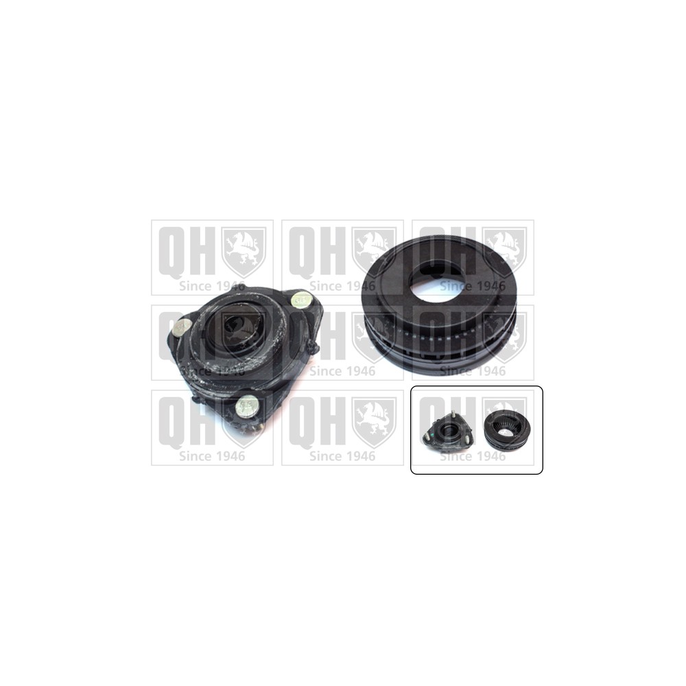 Image for QH EMA6123 Top Strut Mounting- inc Bearing