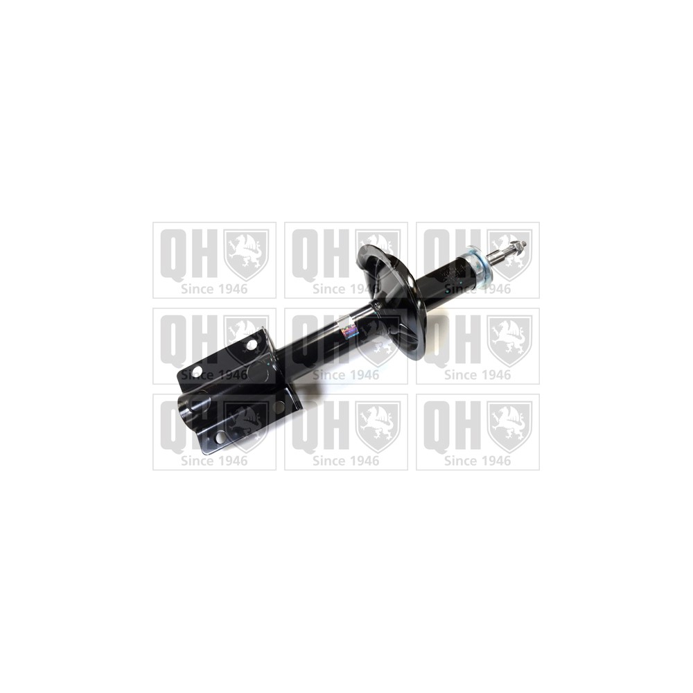 Image for QH QAG181348 Shock Absorber