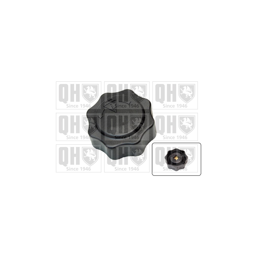 Image for QH FC536 Expansion Tank Cap