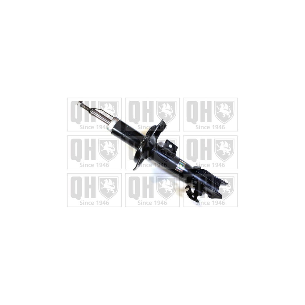 Image for QH QAG878003 Shock Absorber