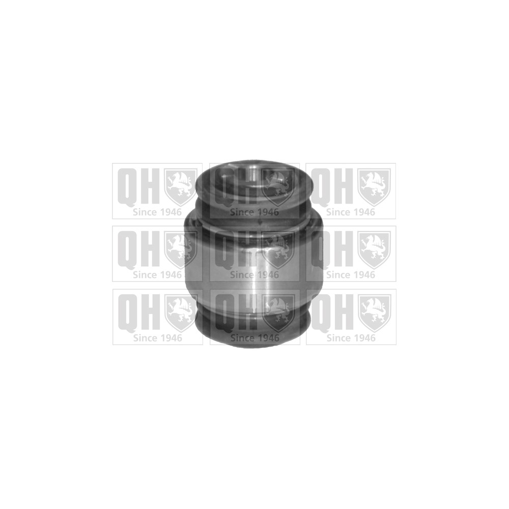 Image for QH EMS8133 Suspension Arm Bush - Rear LH & RH (Rear)