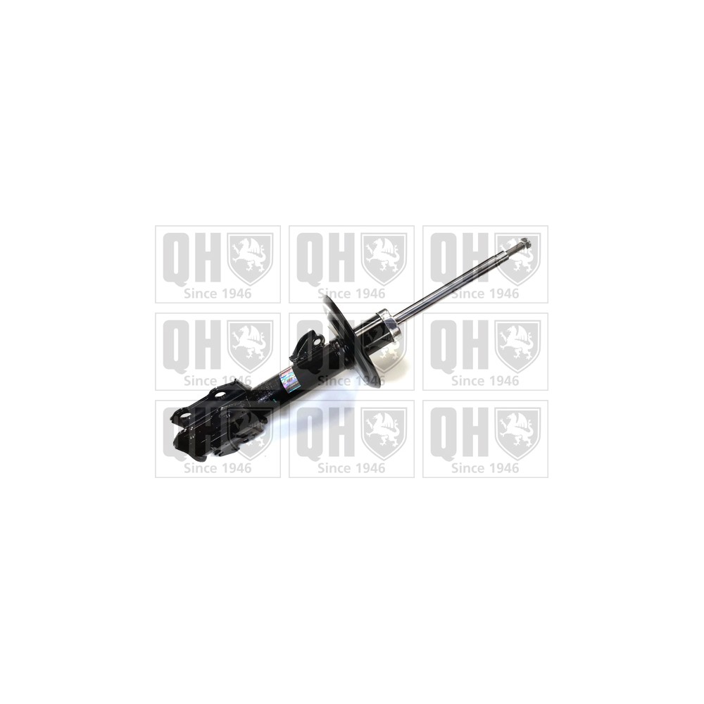 Image for QH QAG878022 Shock Absorber