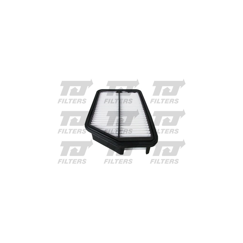 Image for TJ QFA0242 Air Filter