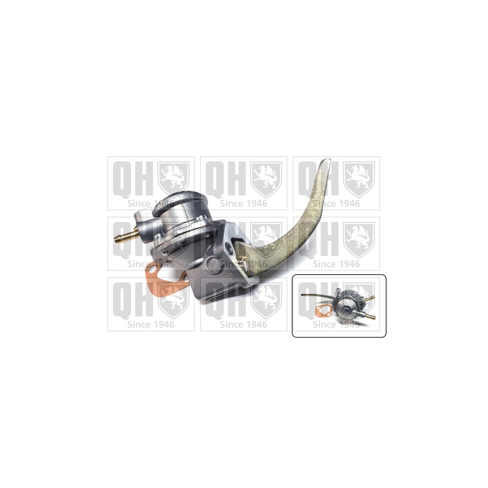 Image for QH QFP19 Fuel Pump