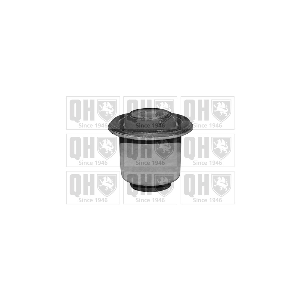 Image for QH EMS8514 Suspension Arm Bush - Front Lower LH & RH (Front)