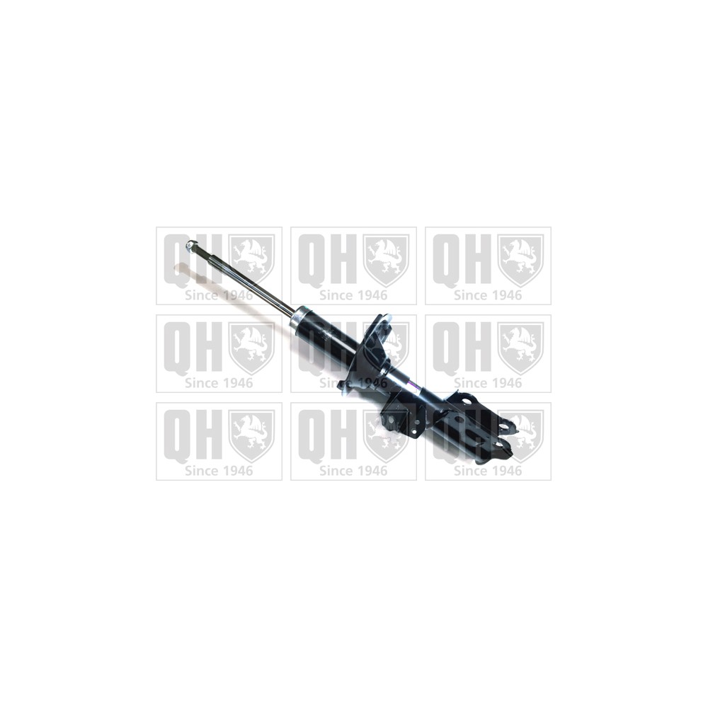 Image for QH QAG878065 Shock Absorber