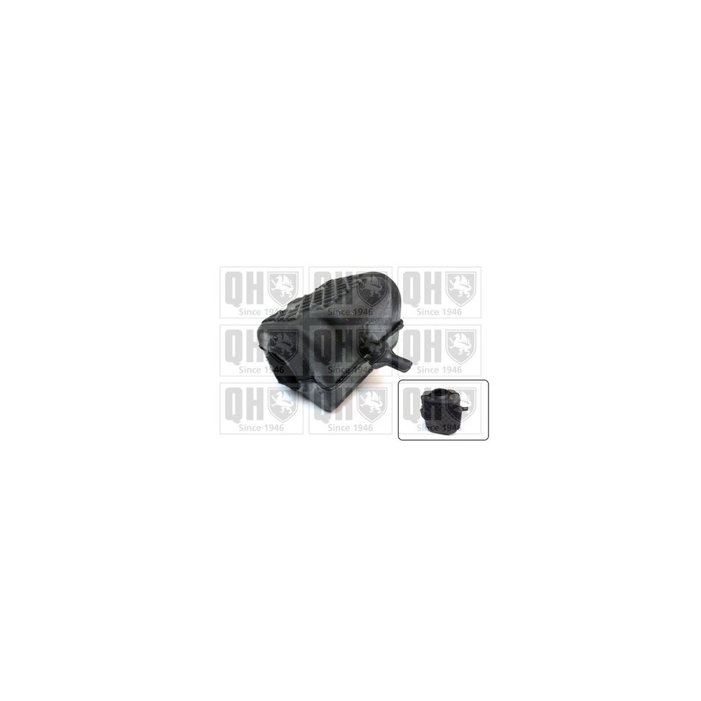 Image for QH EMB7539 Stabiliser Bar Bush